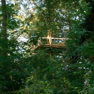 Hidden woodland treehouse platform