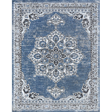 Viviana Traditional Oriental Area Rug, Blue/White, 7'11''x10'3''