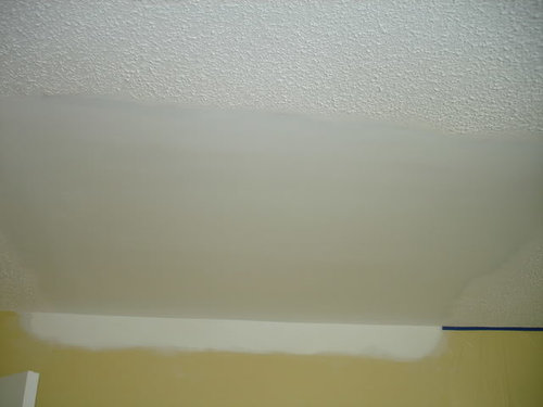 Pictures Of Repaired Popcorn Ceiling