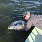 Matt Diaz's photo