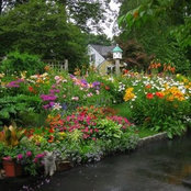 Sandra Mullins's photo