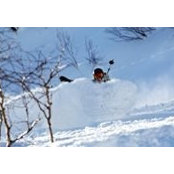 Pete Skelton's photo