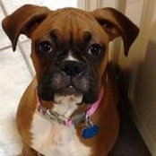 Colleen Labat's photo