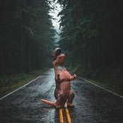 Foto von Joe Wab