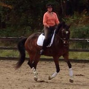 Diane Terp's photo
