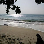 Sumit Bhardwajs foto