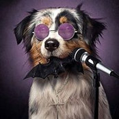 Ralf Reuter's photo