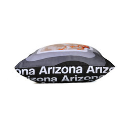 Arizona Map Pillow, Charcoal - Decorative Pillows