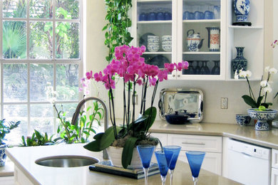 Example of a transitional kitchen design in Miami
