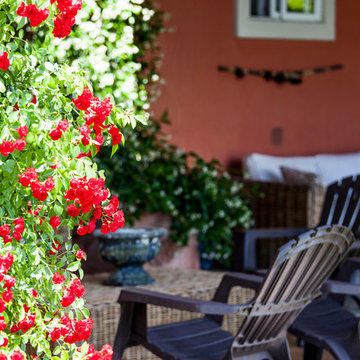 The Sibarist Rozas Villa