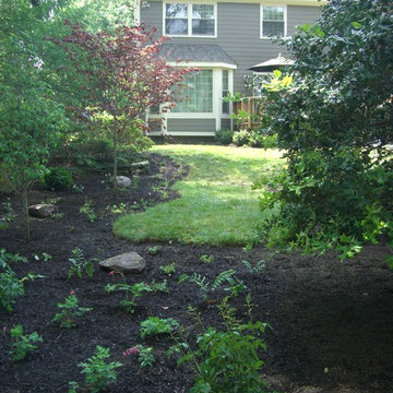 Woodland garden upgrade