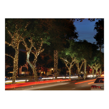 Holiday Outdoor Lighting