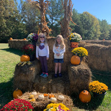 Fall Decorating
