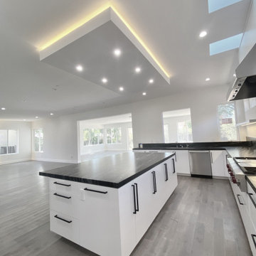 Westmont Remodel ( New Construction )