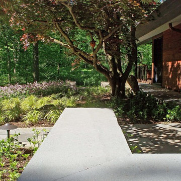 Contemporary Entrance Garden