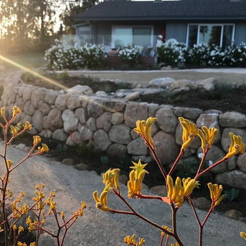 Sea Ranch Terracing