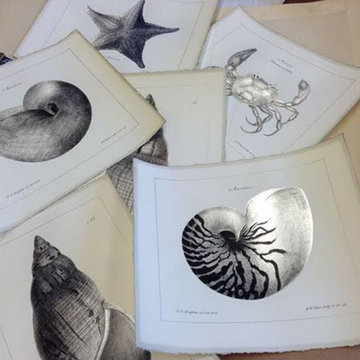 Elegant Prints & Frames