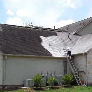 Pressure Washing services