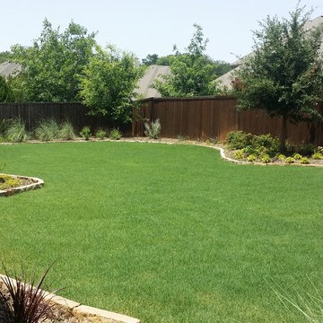Backyard Landscape