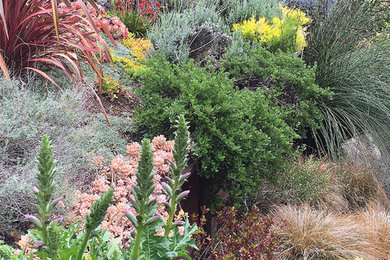 This is an example of a landscaping in San Francisco.