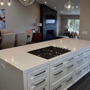 North Laguna Beach Ocean View Contemporary