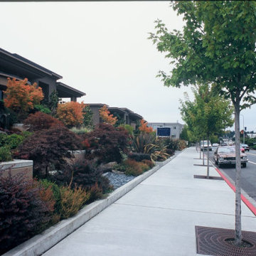 Water's Edge - Landscape buffer between public sidewalk and residences