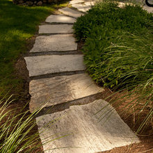 pathways