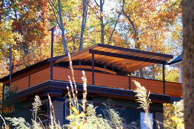 Large minimalist green two-story concrete fiberboard exterior home photo in Raleigh