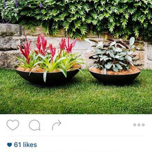 planters