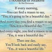 Cathy Nelson's photo