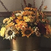 Sue Tellgren's photo