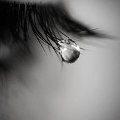 Lillian Wus foto