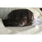 Magda Valle's photo