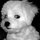 Doris Martin