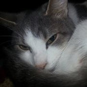 Renae Robinson's photo