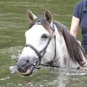 Celine Bruneau's photo
