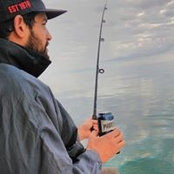Daniel Phillips's photo