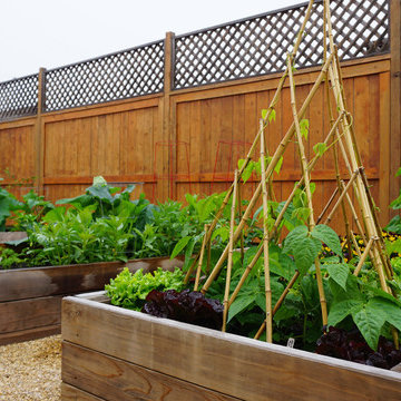 Urban Residential Garden