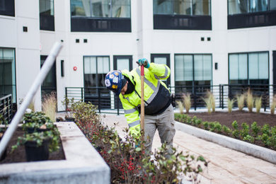 Rooftop Planting and Landscaping