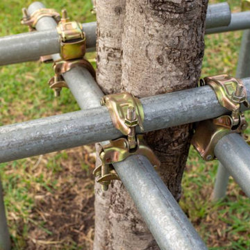Denver Landscape & Tree Removal Service