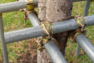 Denver Landscape & Tree Removal Service