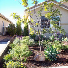 Hope’s Garden ideas
