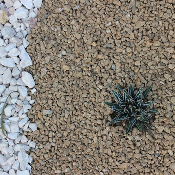 Rock Mural