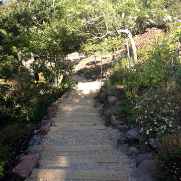 Orinda Hillside