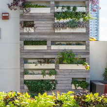 Vertical Garden Wall