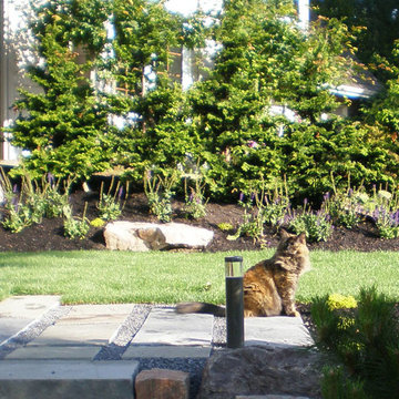 Front Bluestone Walk