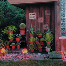 Landscape Ideas