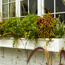 window box
