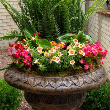 Spring Container Planting
