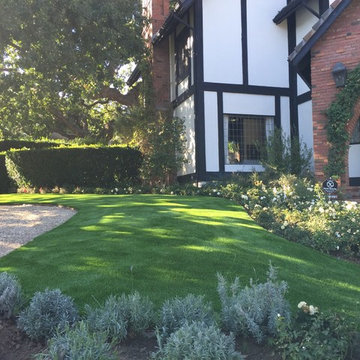 Lush, green and durable front lawn